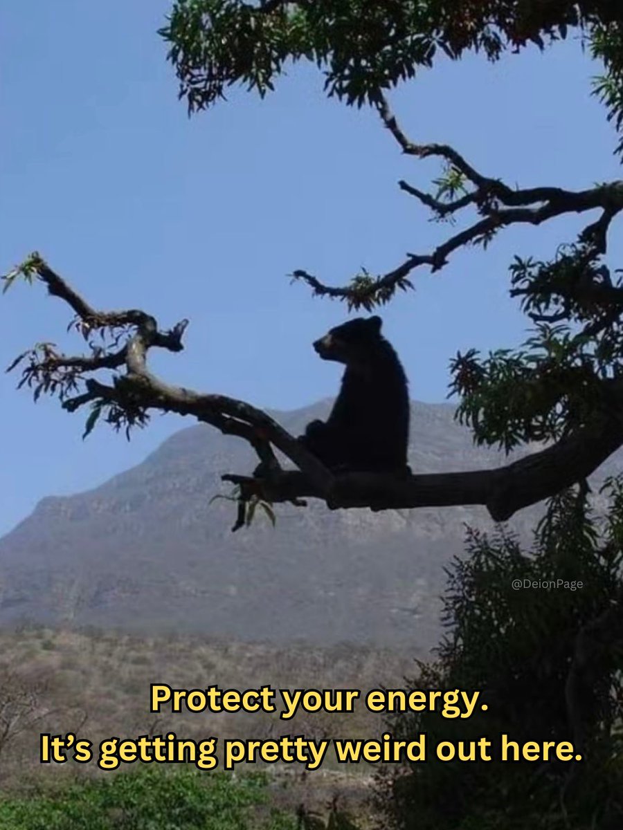 Deion 𓋹 (@calmdeion) on Twitter photo 