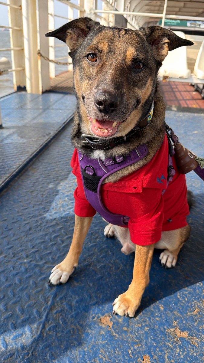 Bappi Rao tweet media