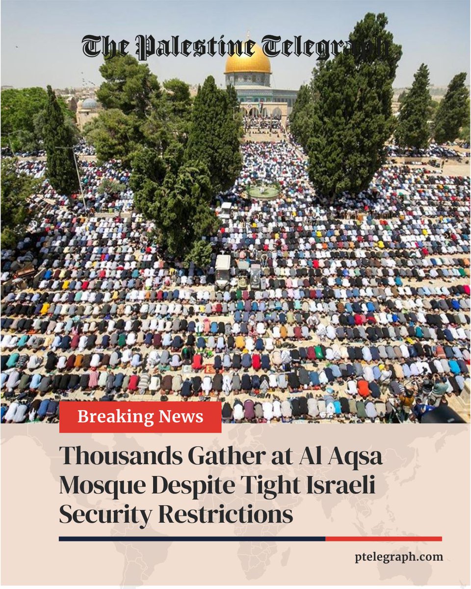 The Palestine Telegraph Newspaper tweet media