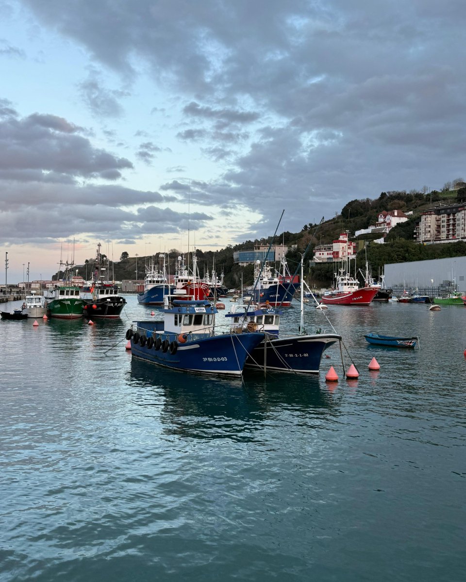 oppalamos's tweet photo. Actualment ens trobem dins el programa de millora MSC, un pas clau per seguir treballant amb criteris tècnics, rigor i compromís amb el futur del recurs.

✅Pesca responsable, basada en dades i millora contínua. 

#oppalamos #productorsdelapescadepalamos https://t.co/tByFCgQ9L0