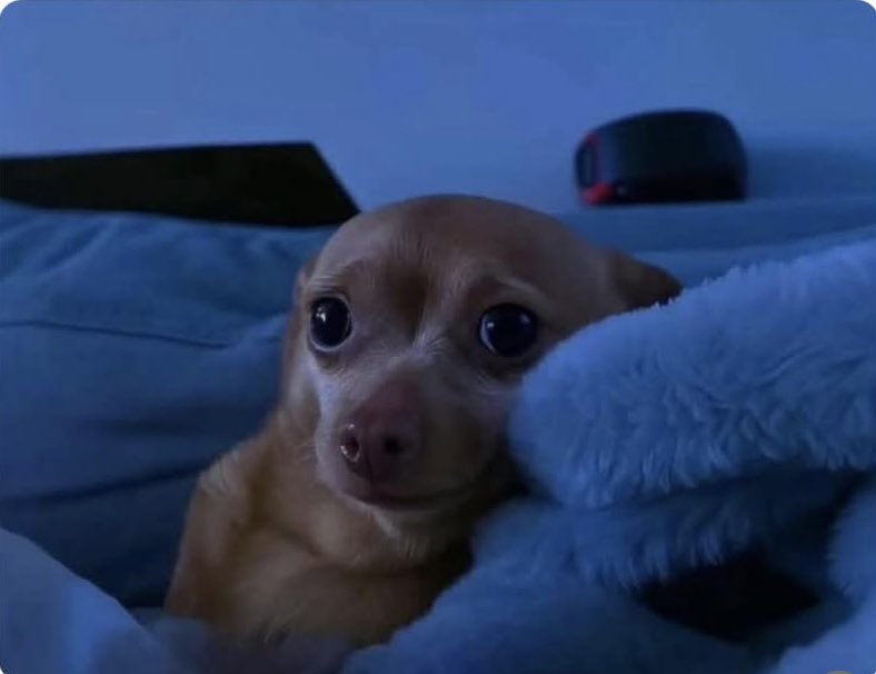 BarfyOne's tweet photo. When you fall asleep on the sofa and wake up in bed, but you live alone😭….. https://t.co/gZ5xa5VbLN
