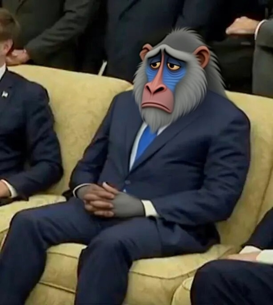 redsteeze's tweet image. Marco Rubio, when he hears he has to explain that video on the Sunday shows this week