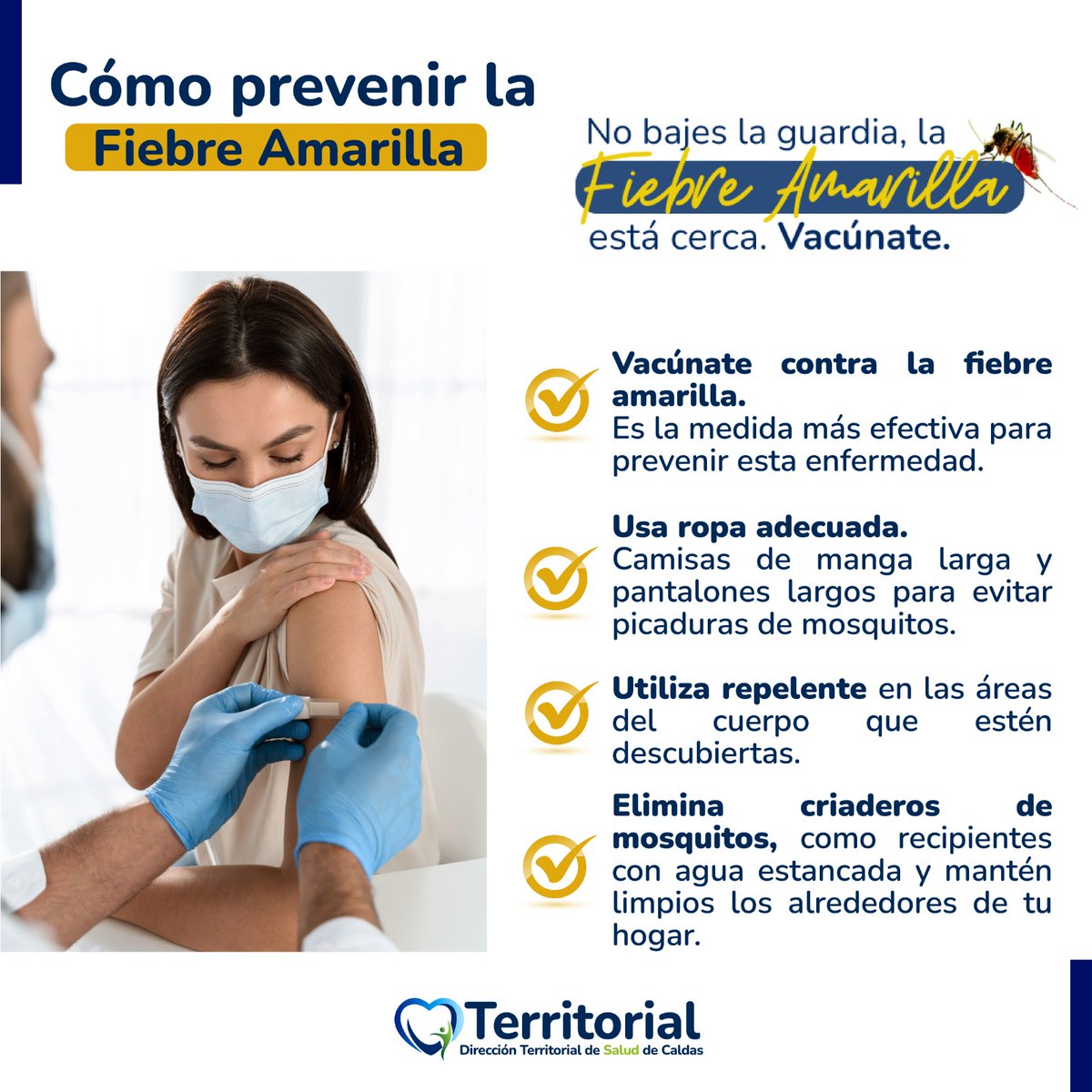 🦟💉 No bajes la guardia: La fiebre amarilla está cerca.

La mejor forma de proteger tu vida y la de tu familia es vacunarte. Además, recuerda usar ropa que cubra tu piel, aplicar repelente y eliminar criaderos de mosquitos en tu hogar.

La prevención empieza contigo. 💪💛