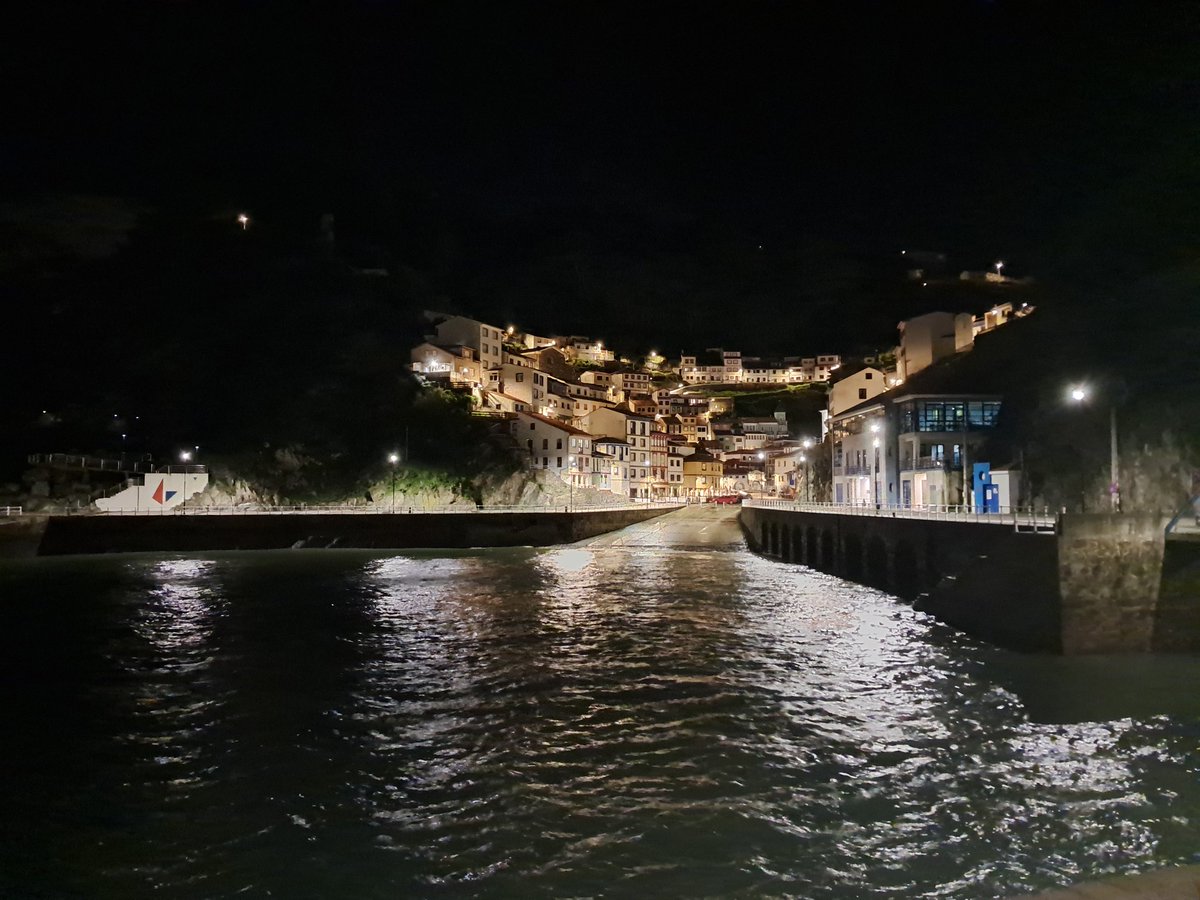 Caesar 🌹 🔜 AWOO tweet media