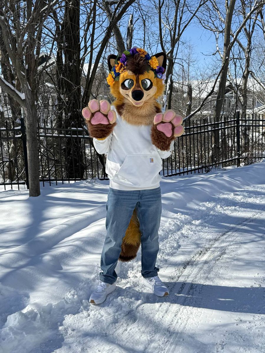 Fountain City Furs tweet media