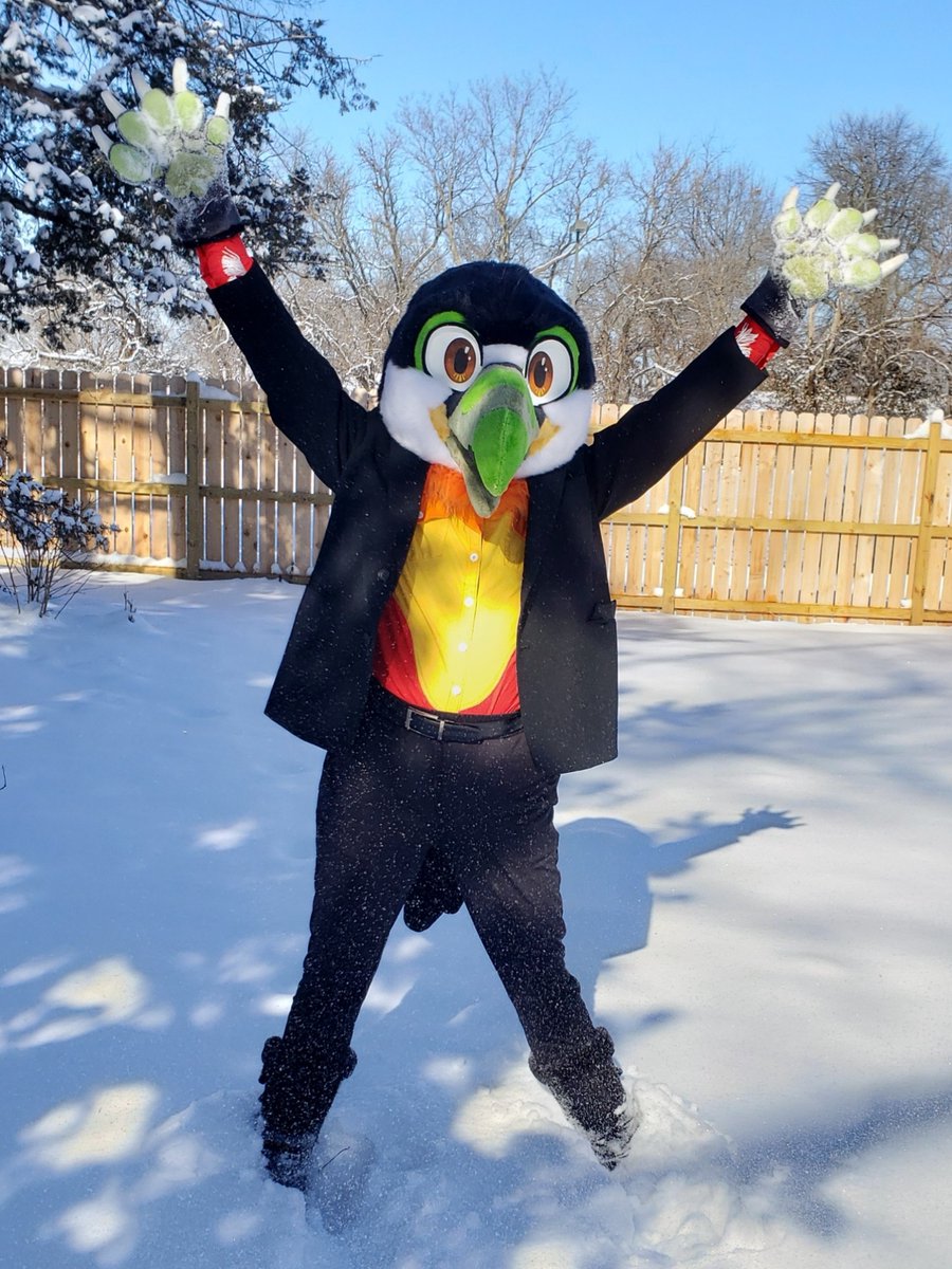 Fountain City Furs tweet media