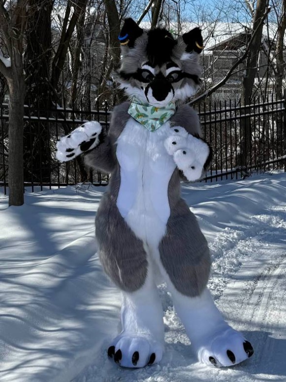 Fountain City Furs tweet media