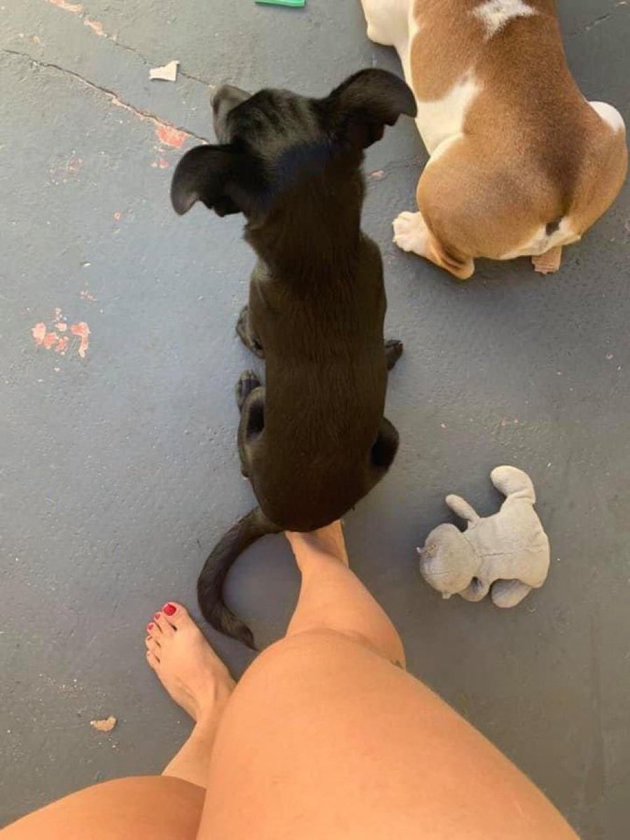 O6ios's tweet image. morava na rua, agora nem o cu no chão quer colocar, é um fdp mesmo