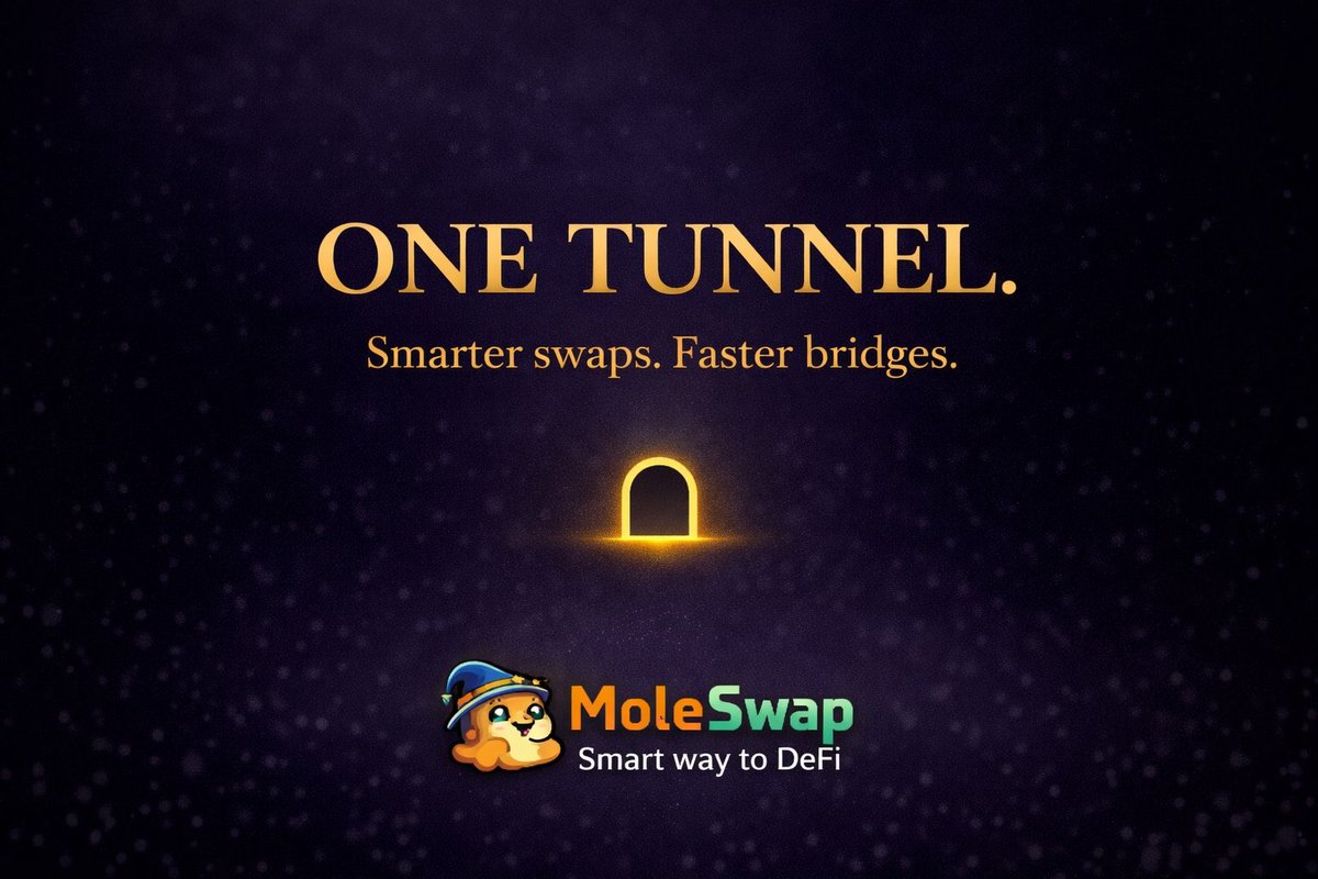 One Click, One Tunnel

Smarter swaps. Faster bridges.