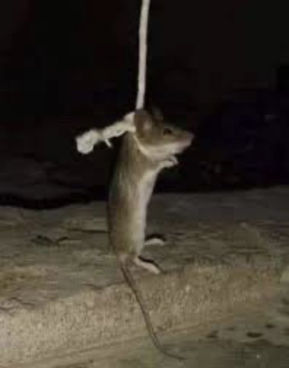 نهاية گل عميـ.ل مرتـ.زق ..

#اوبه