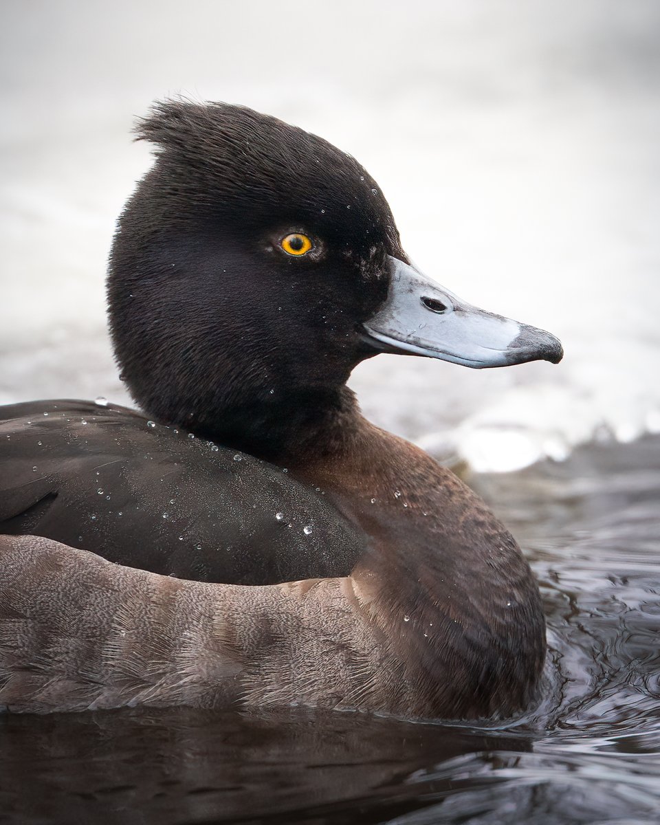 Edgars Trops tweet media