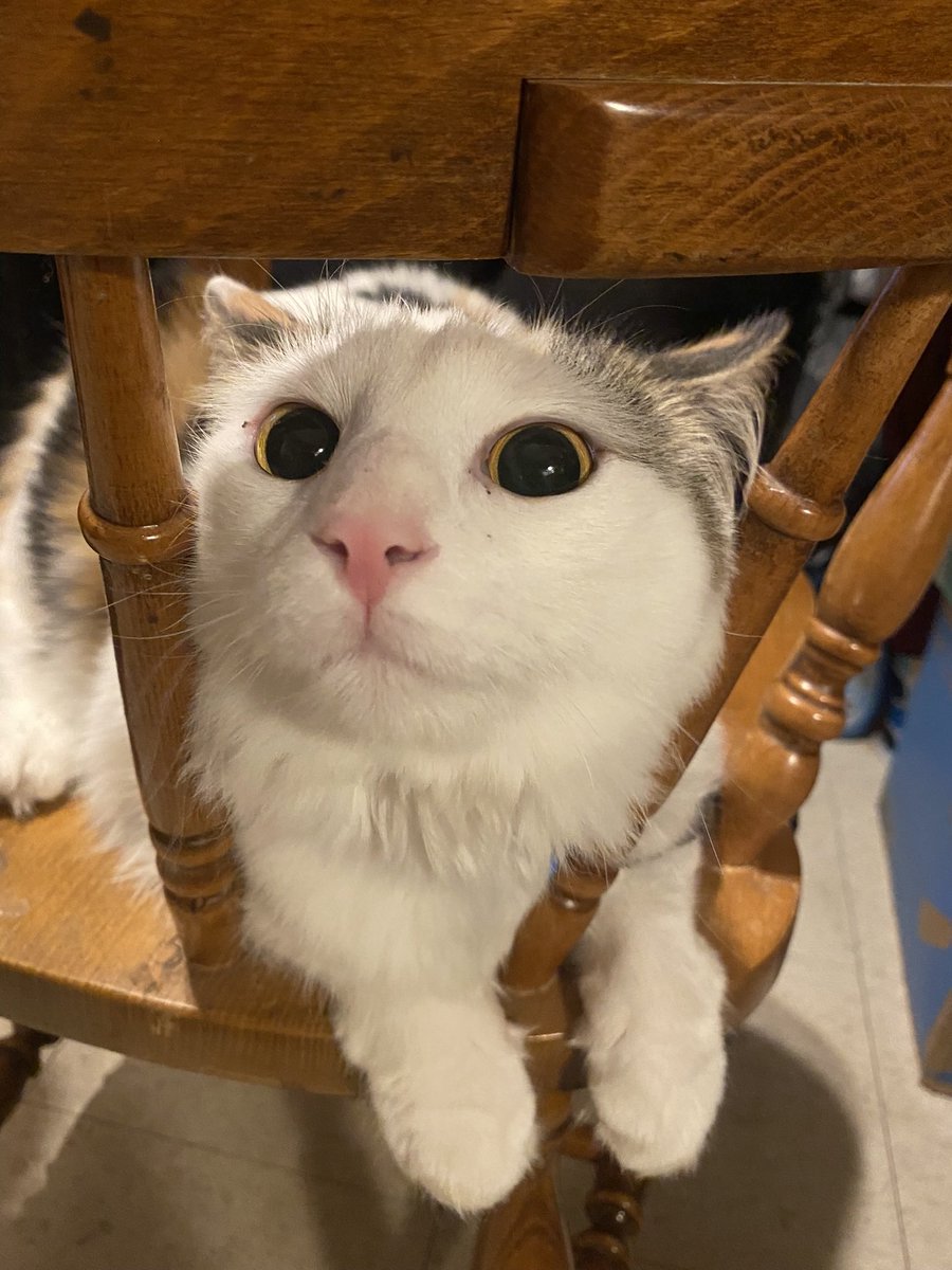 lo_saturna1ia's tweet image. put those fucking peepers away