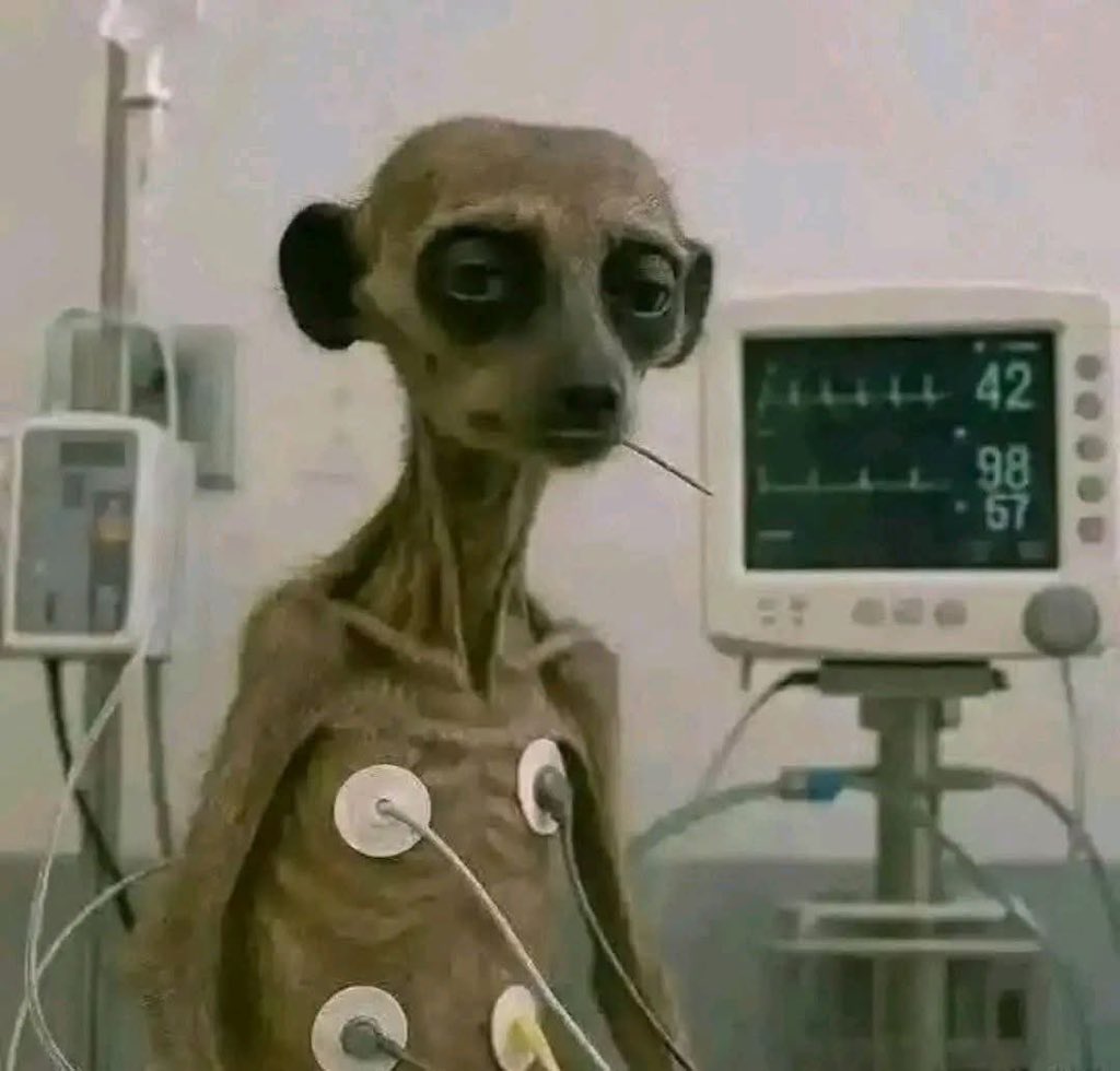 Ithalians in the finale, after defending 24/7 😂😂😭😭 #BBMzansiS6