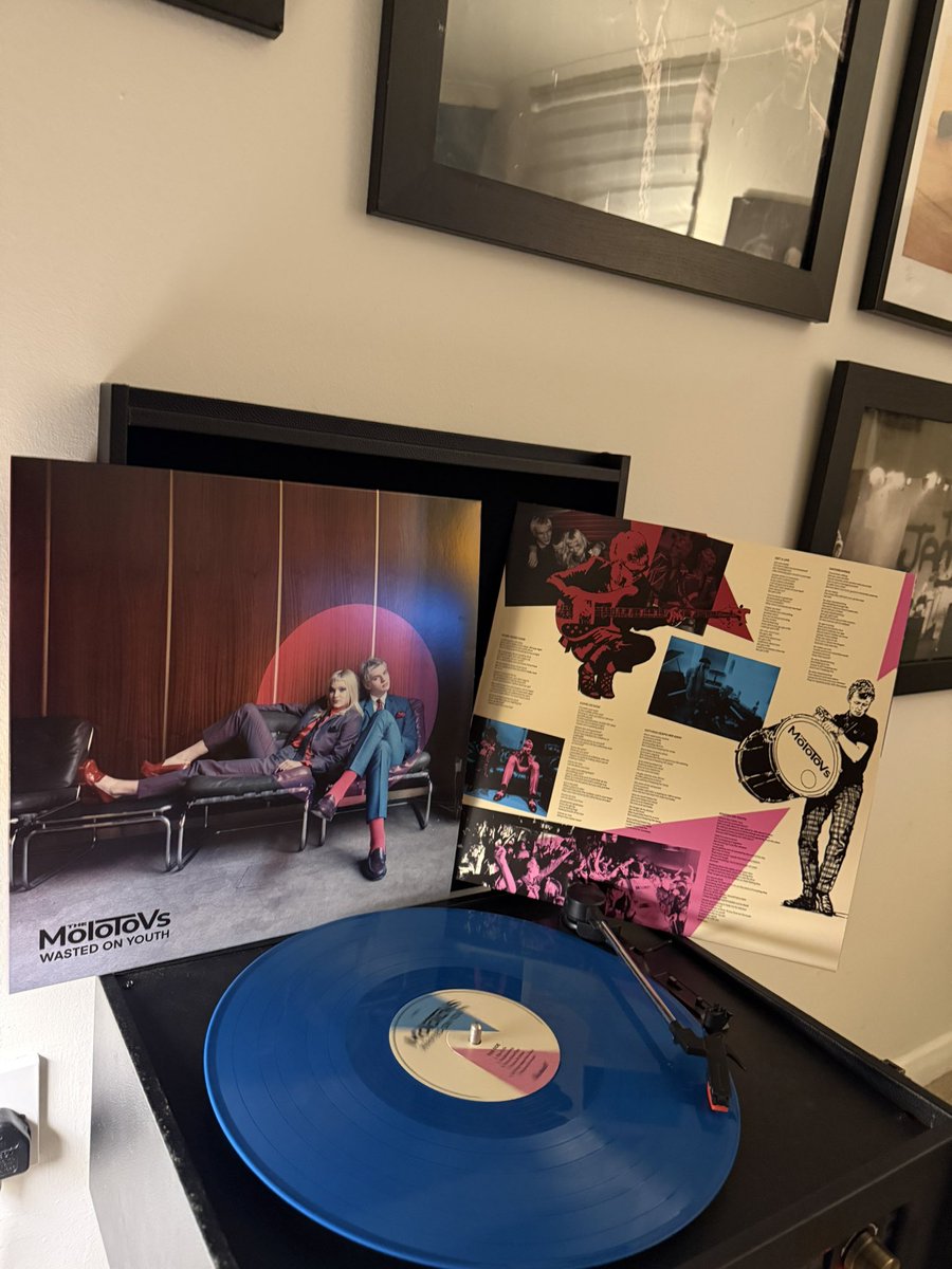 shiner_sam tweet media