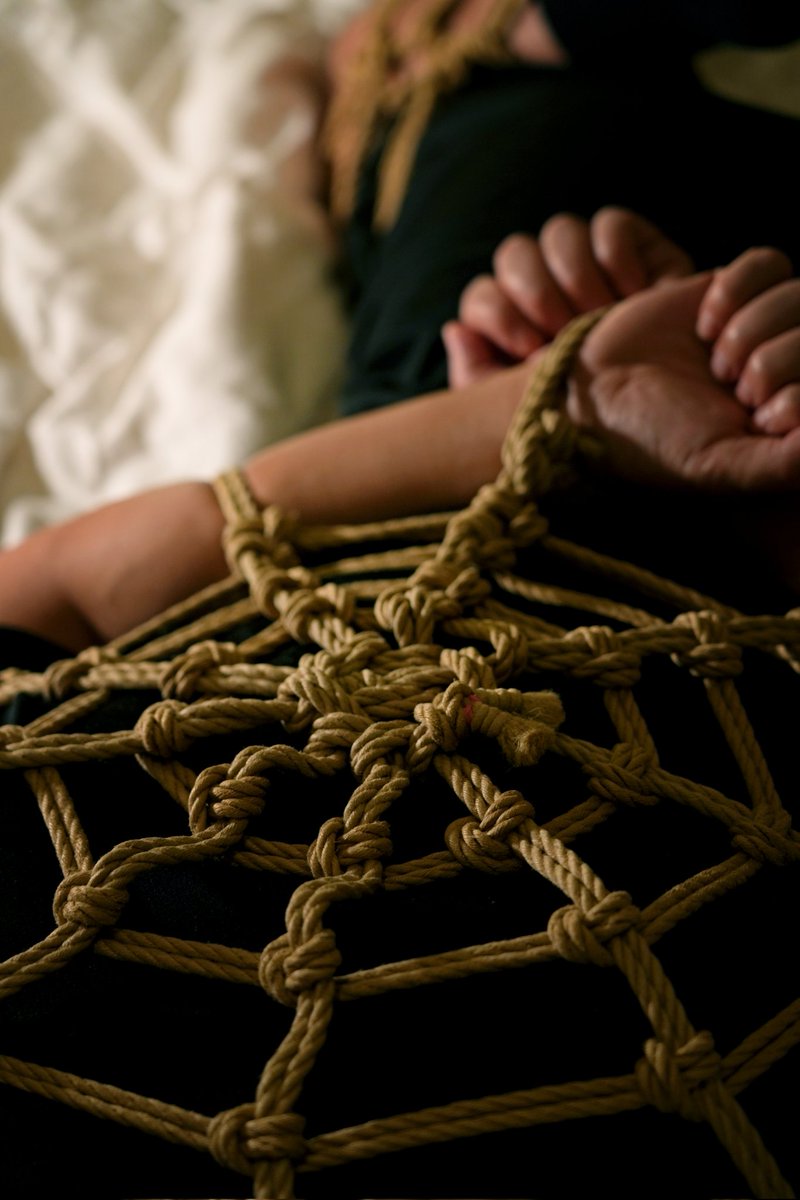 向小杰 tweet media