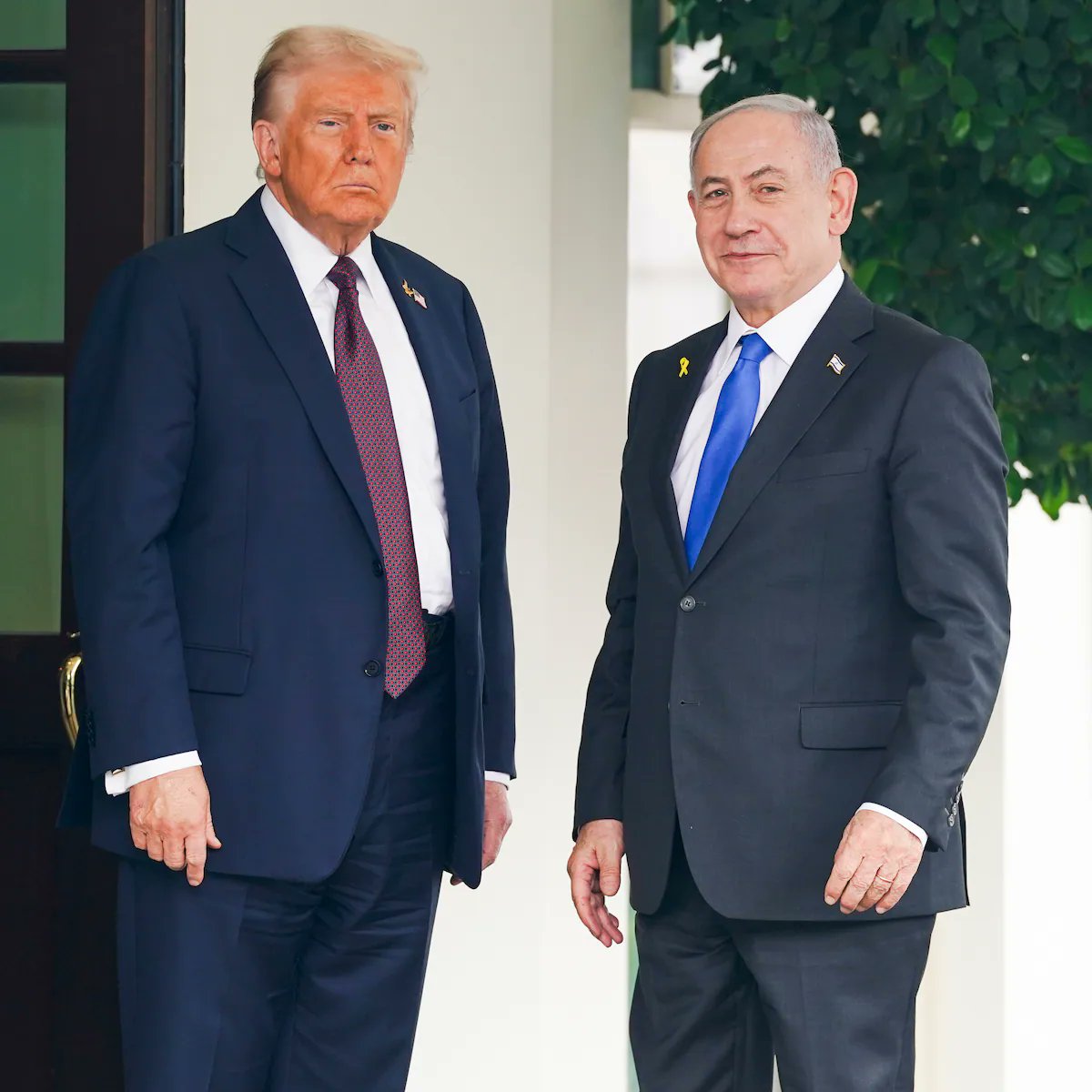 "El viejo vientre inmundo que parió el fascismo y el nazismo como conclusión lógica del liberalismo sigue dispuesto a parir monstruos."

Bertolt Brecht.