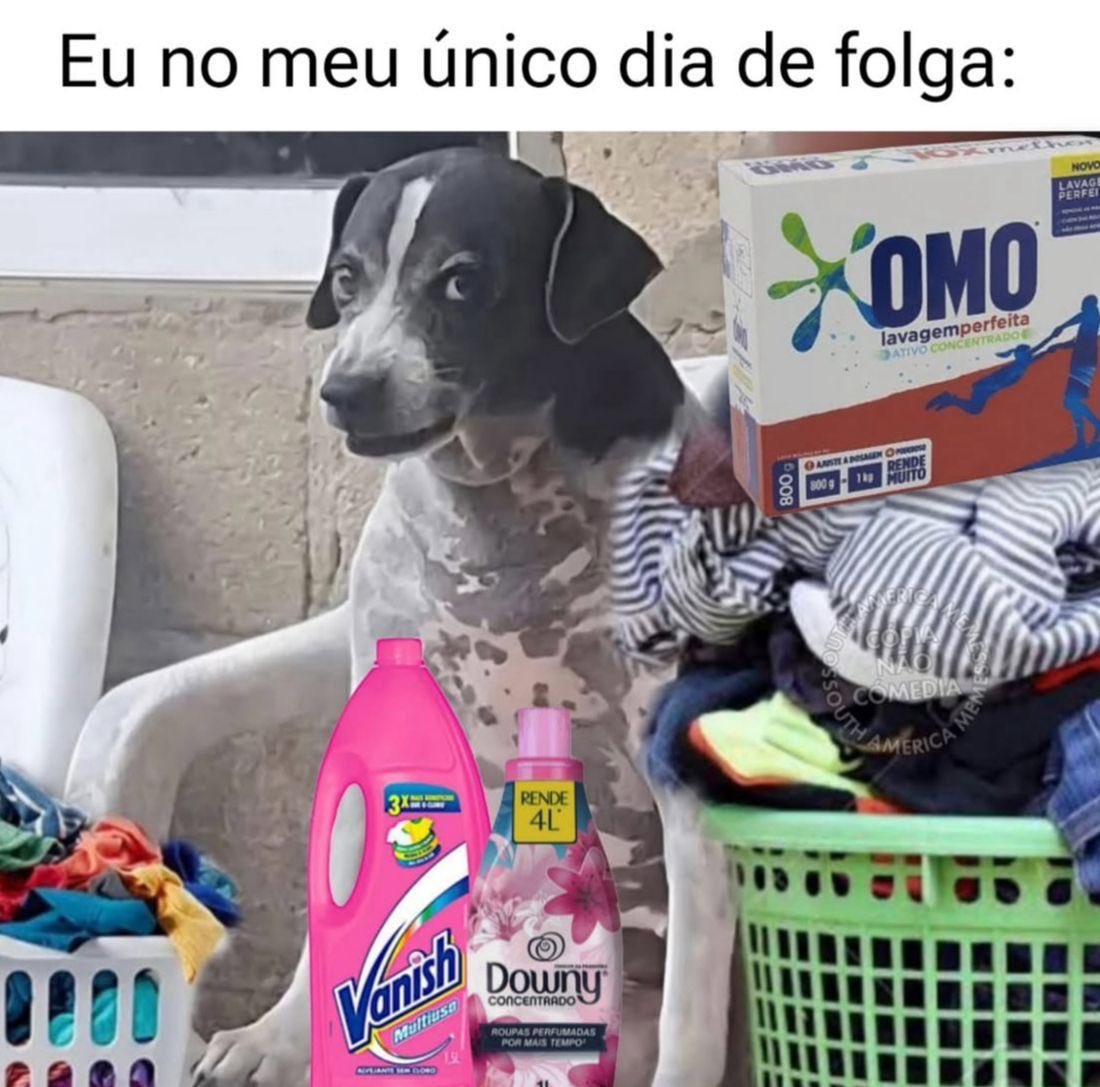 paginalixo1's tweet image. 