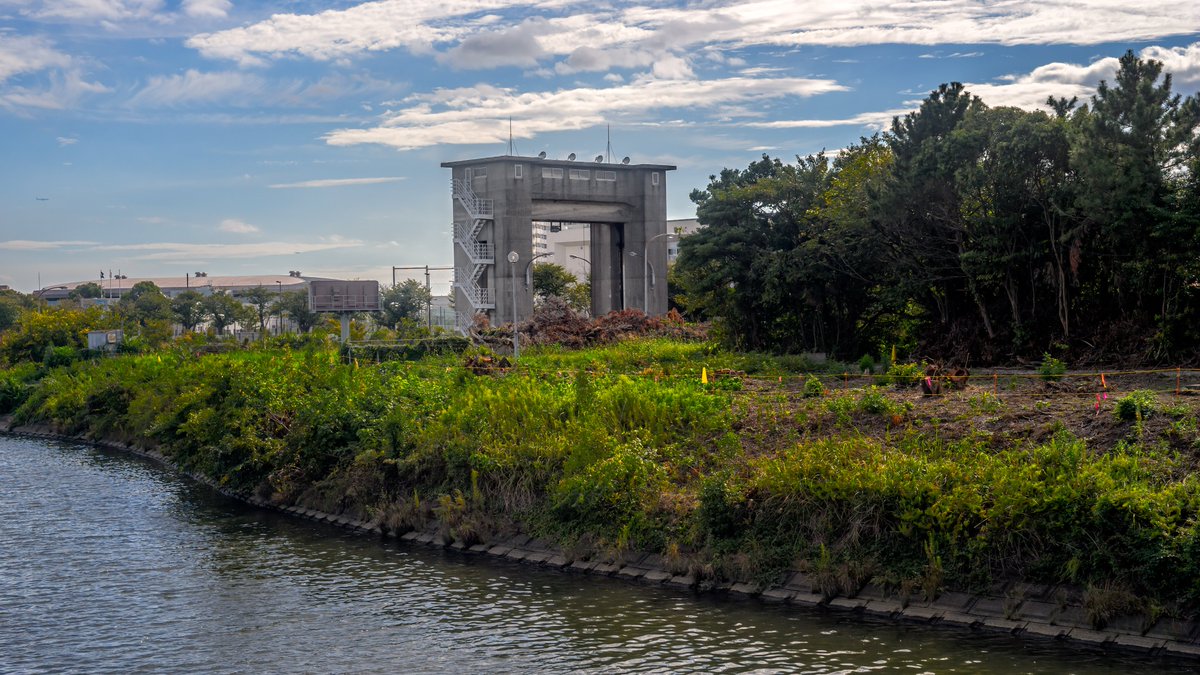 Development, 3:38:24 Voigtländer Ultron 50mm F2 ILCE-7 #路傍の写録