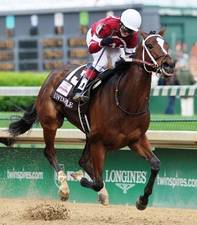 HORSERACING1002's tweet image. UNTAPABLE🇺🇸2011
(TAPIT ▪︎ FUN HOUSE BY PRIZED)
#Untapable
B/O Winchell thorougbreds (Ky) February 13, 2011
T/ Steven M. Asmussen 
20-9-5-2---$3,926,625
2014 Champion 🏆3yo Filly 🇺🇸
Breeder's Cup Distaff G1,  Kentucky Oaks G1, Cotillion S G1, Apple Blossom H G1, Fair Grounds