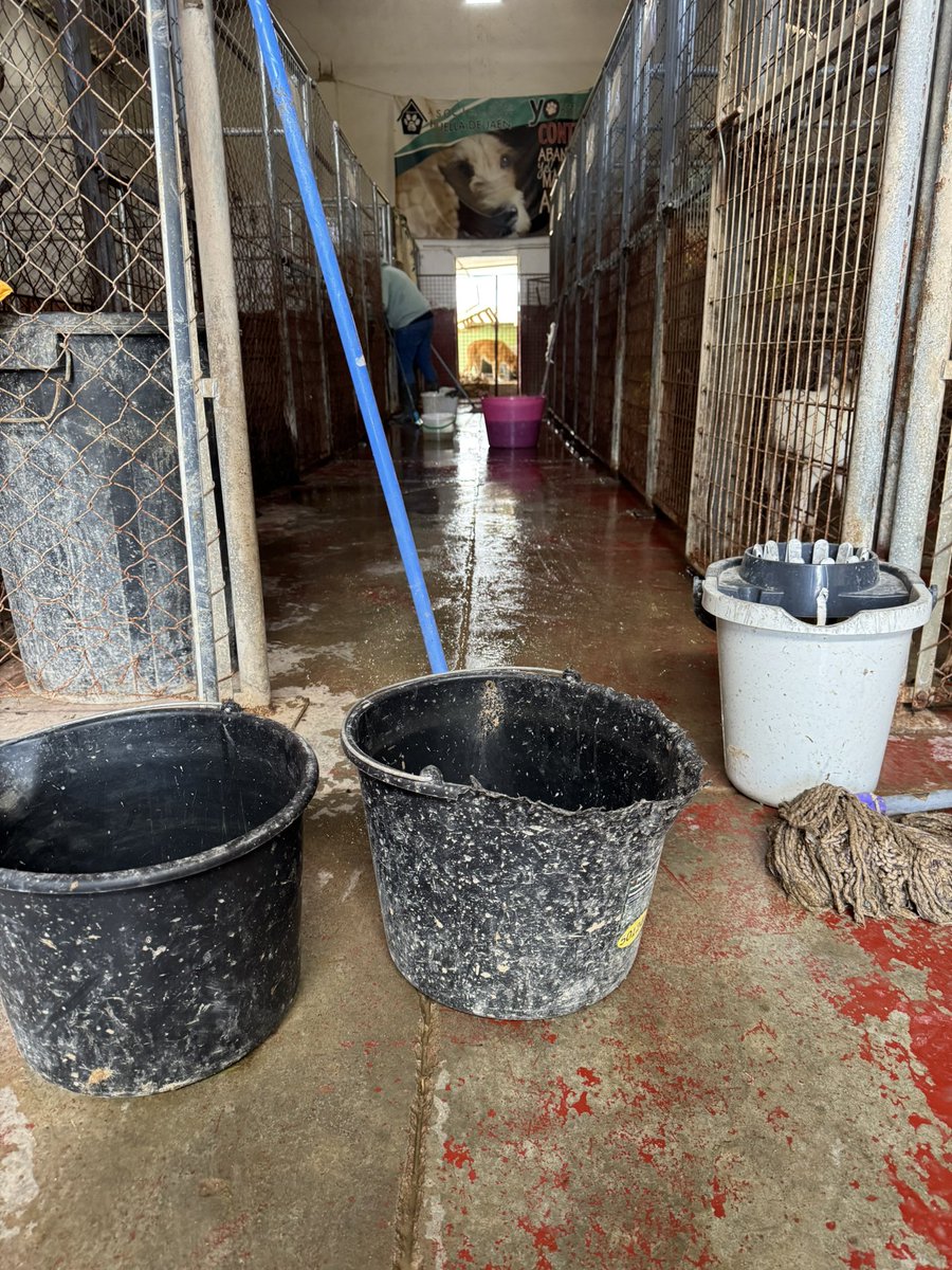 Asoc. Huella De Jaén tweet media