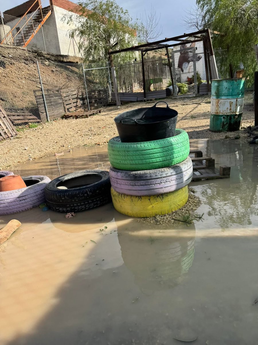 Asoc. Huella De Jaén tweet media