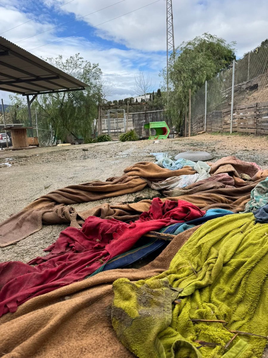 Asoc. Huella De Jaén tweet media