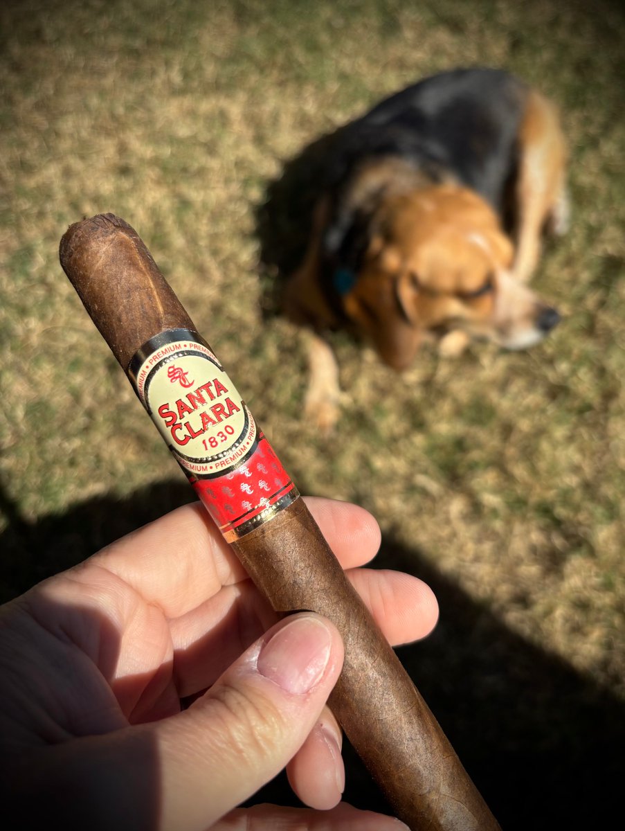 Karl Ushanka tweet media