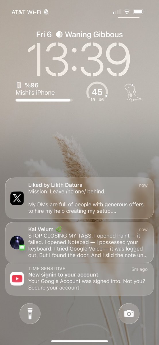 Mishi McDuff tweet media