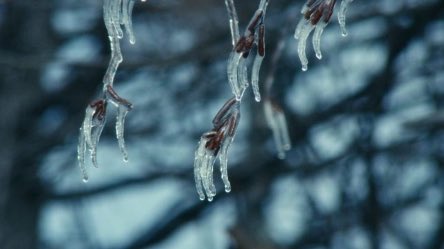 Nell ❣️🍁 tweet media