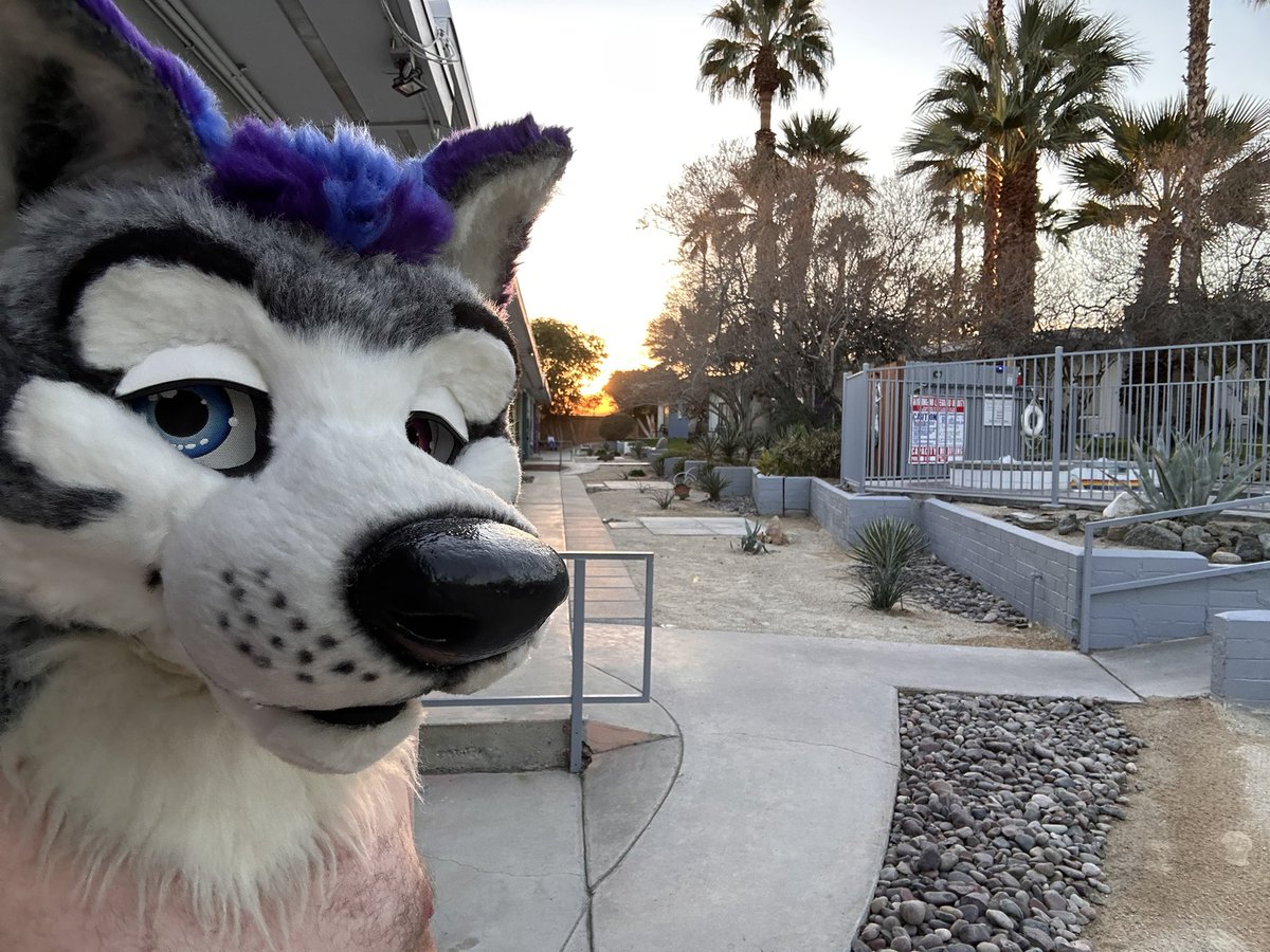 DirtypawsHusky's tweet photo. Lovely morning at #cogweekend with my boy https://t.co/yVbL2wcNEZ