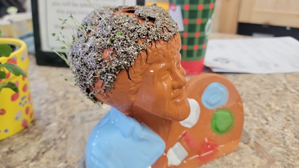 wisniewskidave's tweet image. Day 11 you have to keep it wet. All the water dries up on top. ##bobross #thejoyofpainting #chiapet #Epstein #Canada