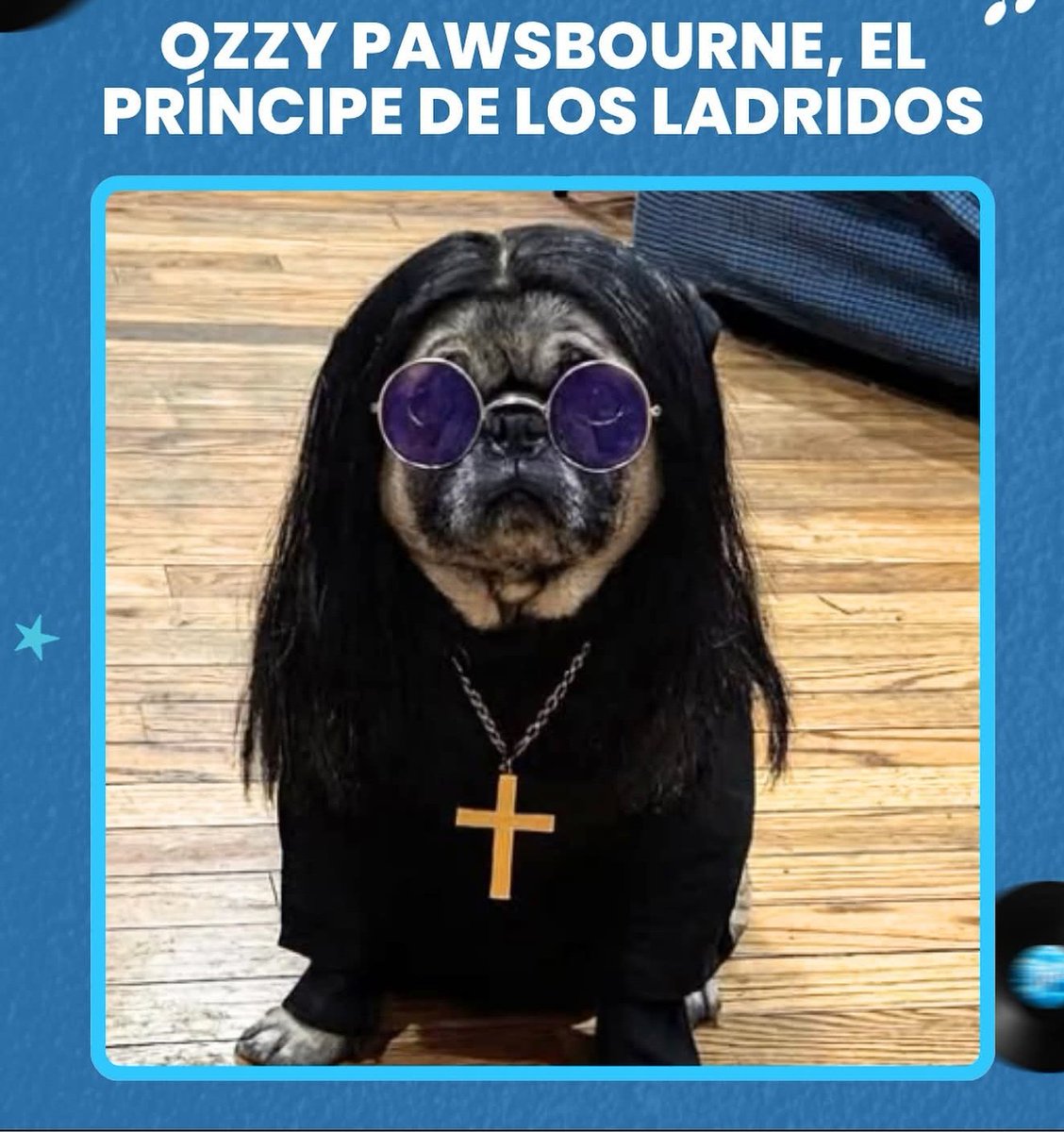 LuisLuiskiss1's tweet image. #trackattack @pepecampamx @LuisMaiden @ROchenteros #metalosasperosabrosas 🤟🏼😈