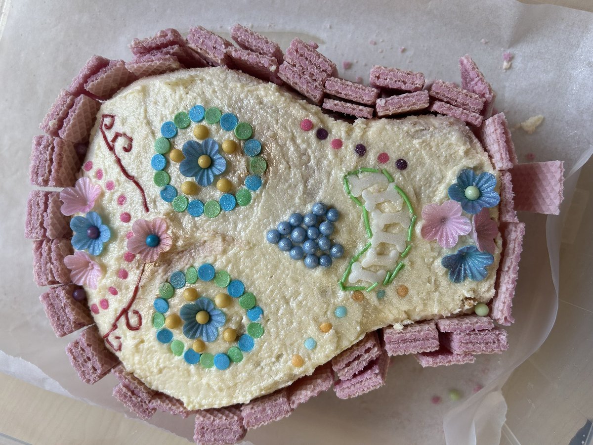 Modern Languages_NDHS tweet media