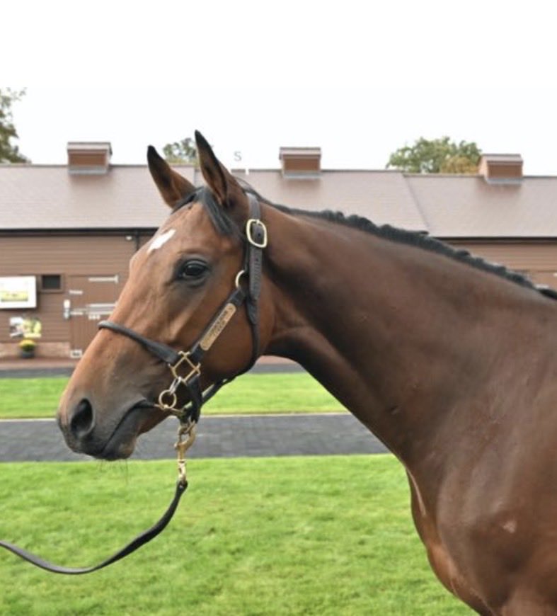 Yvonne Kennedy tweet media