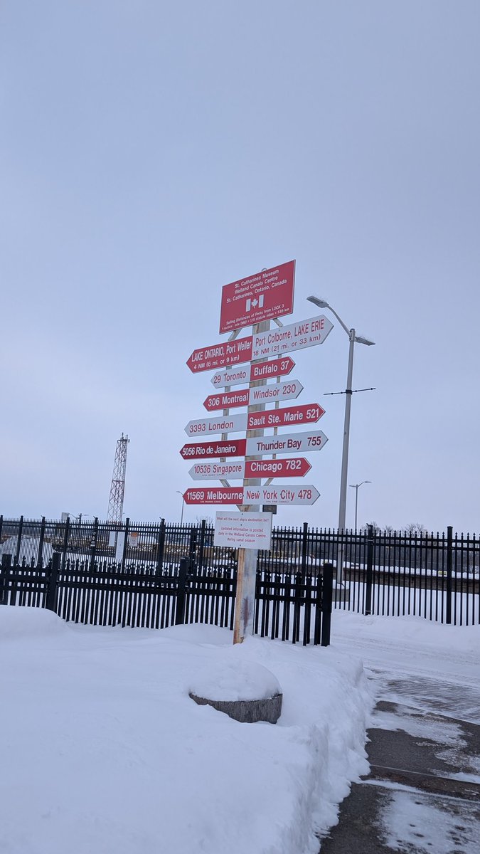 Luna Lovegood tweet media