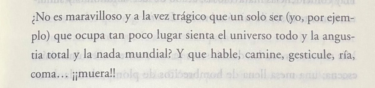 MoriKrygel's tweet image. los diarios de pizarnik. sí soy.