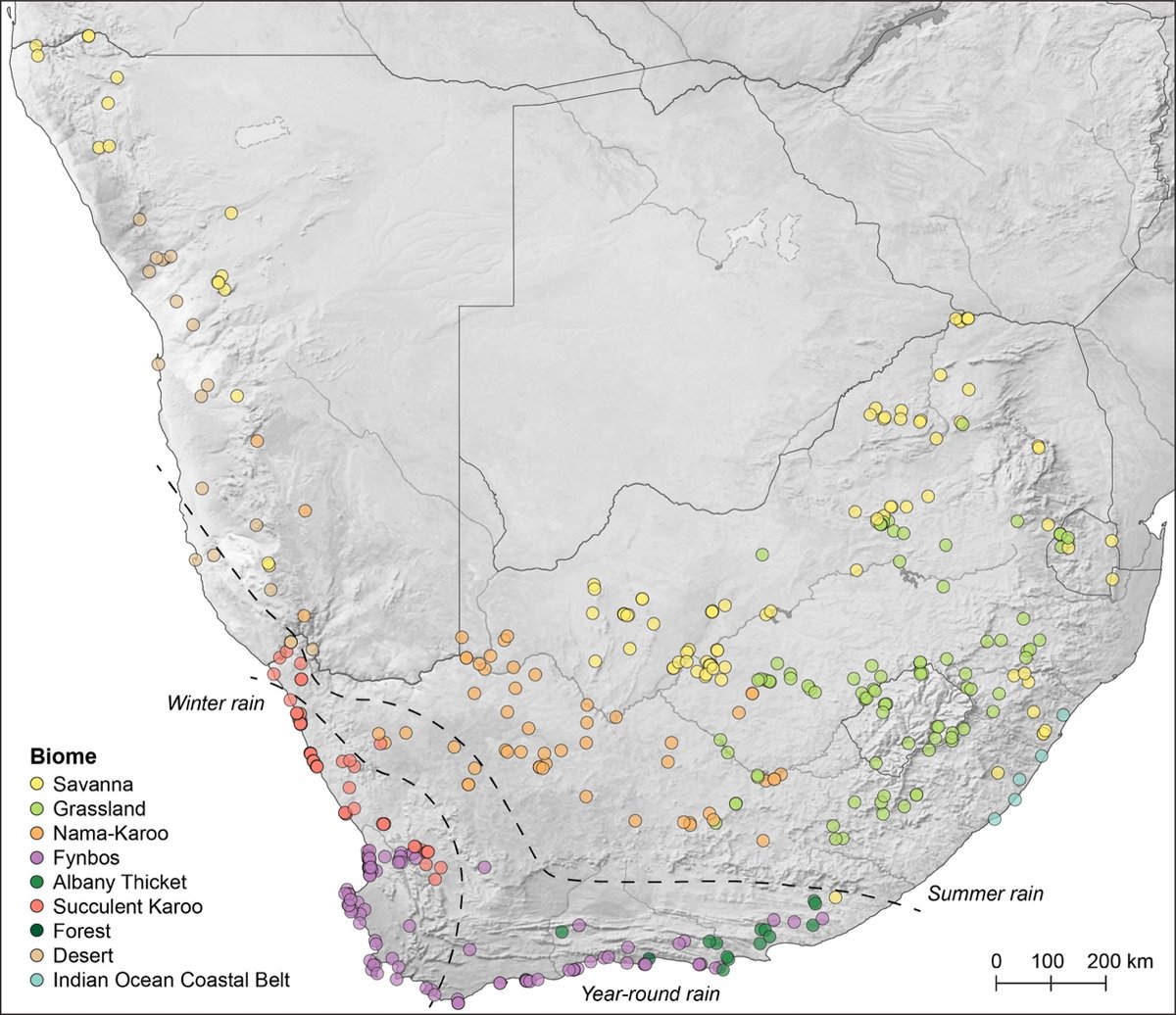 Journal of Open Archaeology Data (JOAD) tweet media