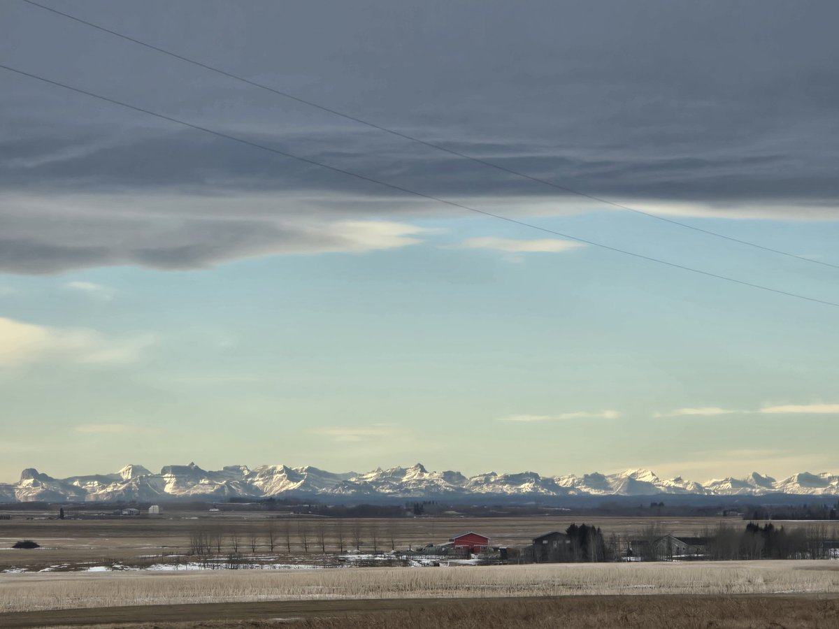 Tracey Dyck tweet media