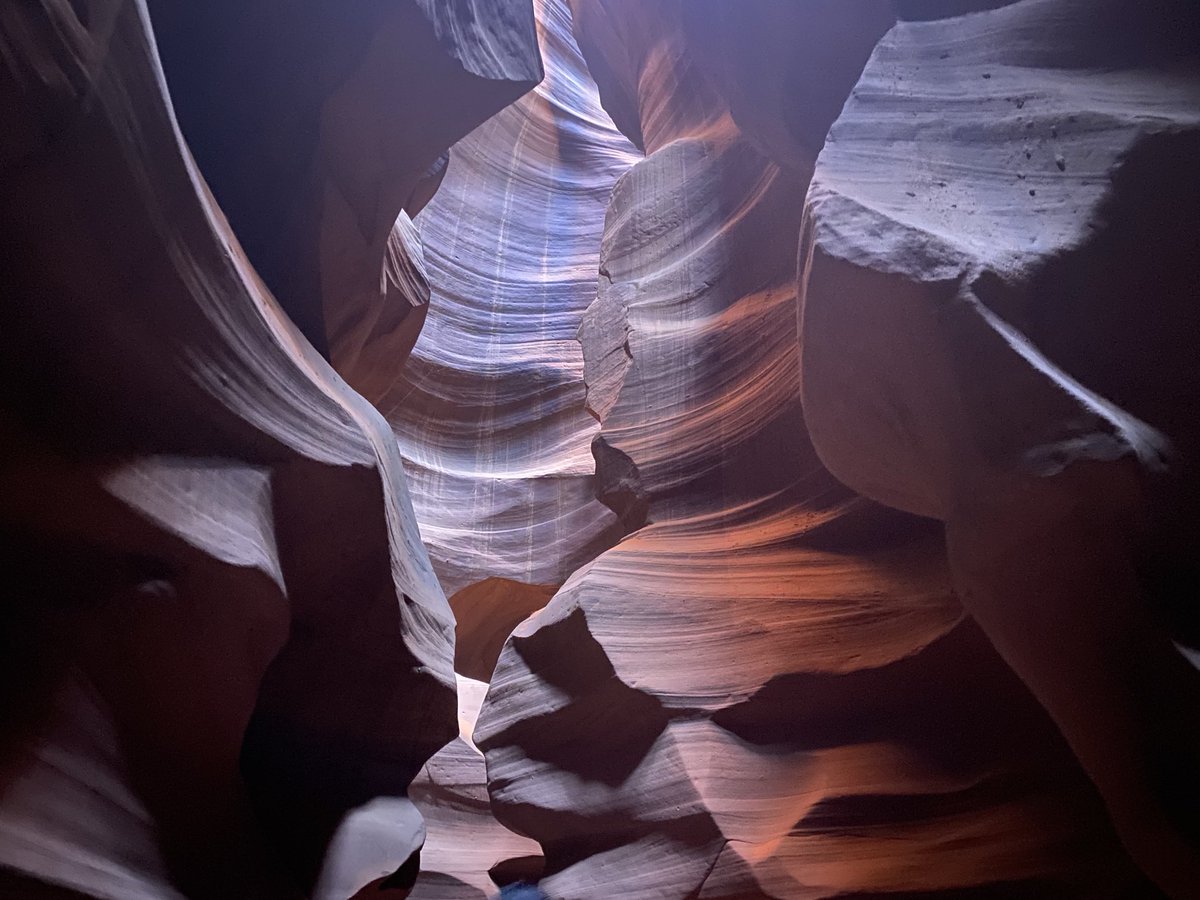 hamsanandi's tweet image. Post something with stripes from your gallery!