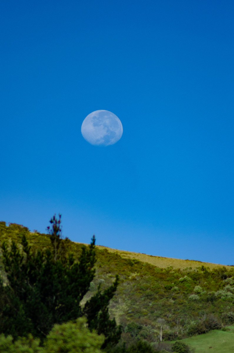 Sandy Espinoza F tweet media