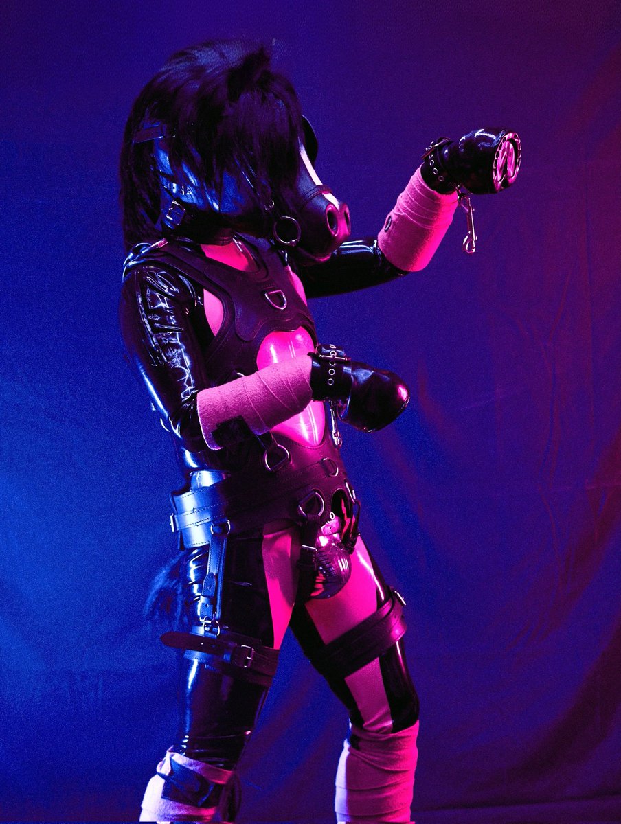 Equus Signum tweet media