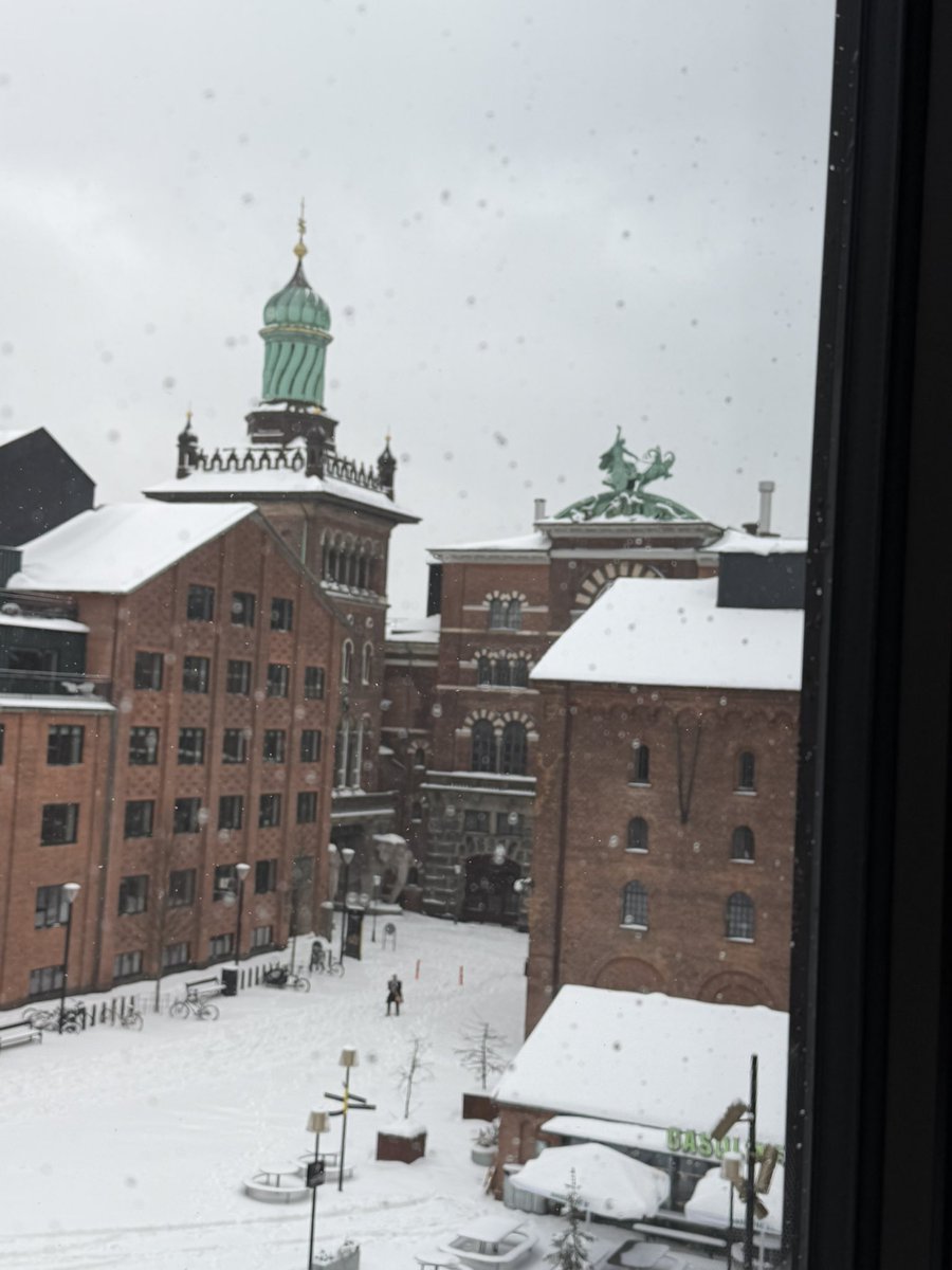 Darren van der Garry tweet media