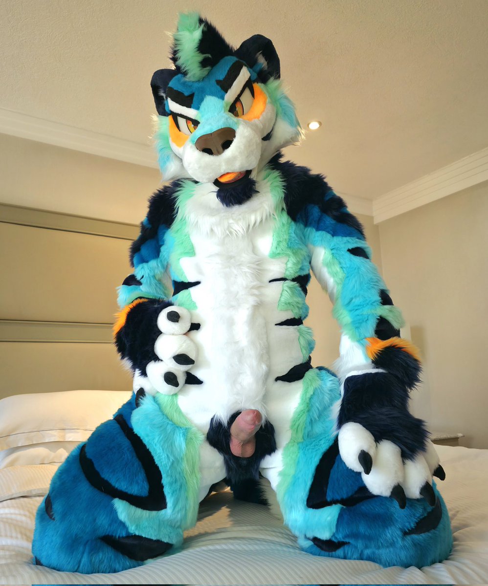 🐾 Xytan J AD - OF $5USD 🐾 tweet media