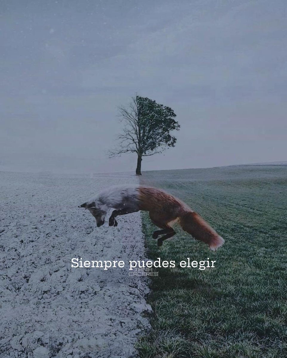 BANDIDOS (@bandidosfrasess) on Twitter photo 