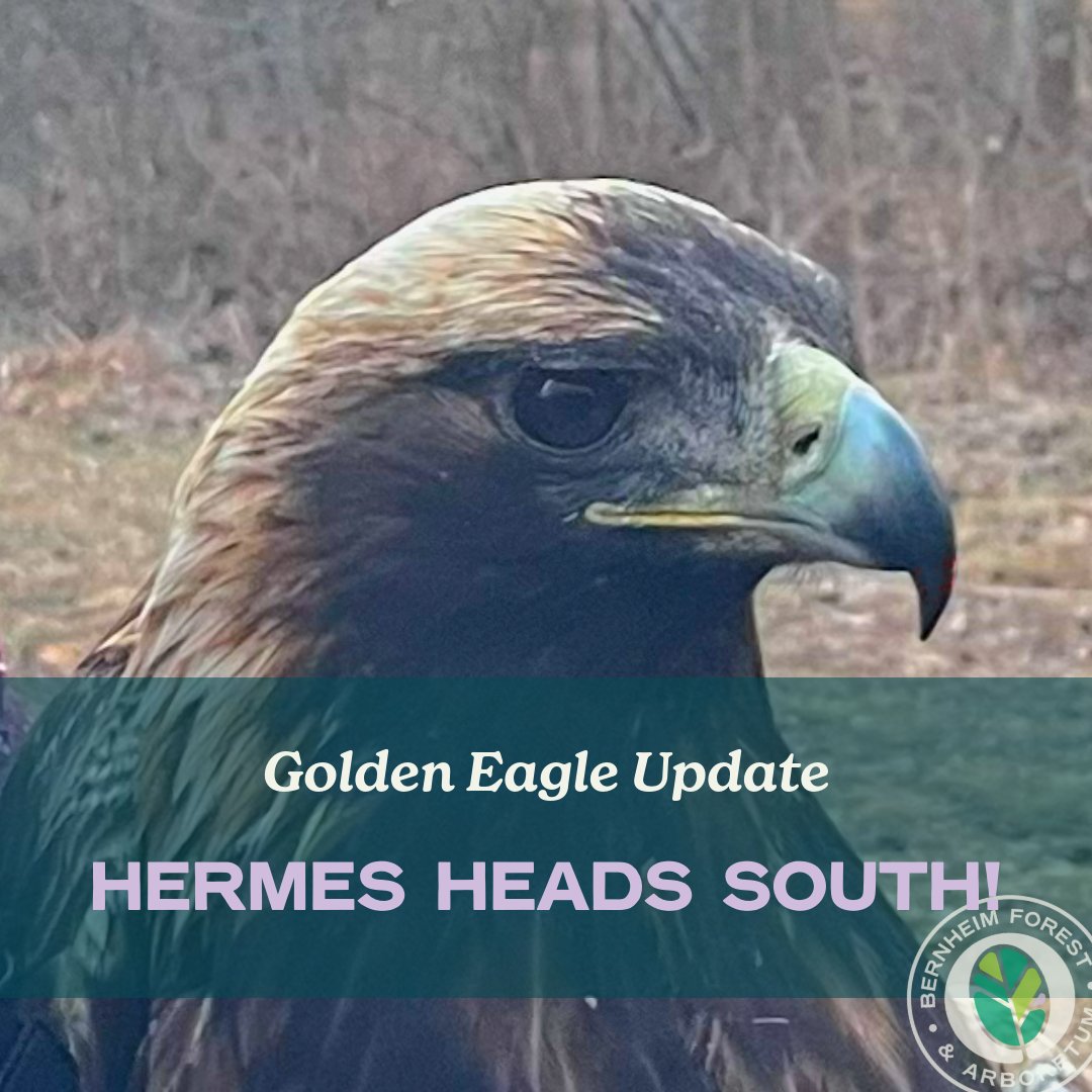 Bernheim Forest tweet media