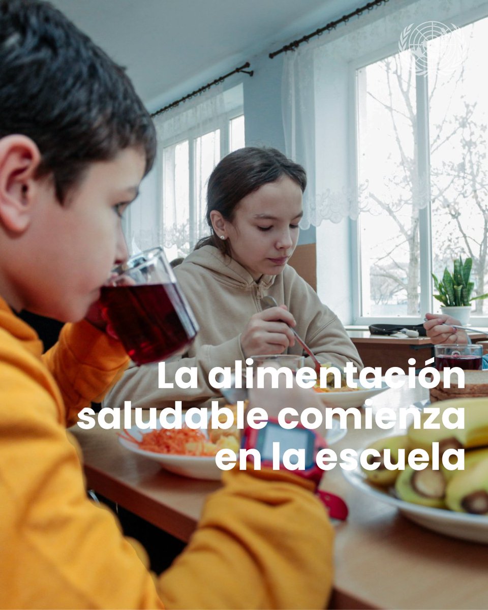 La alimentación que reciben los niños en la escuela tiene un impacto profundo en su salud, aprendizaje y bienestar.

A medida que el sobrepeso y la obesidad infantil aumentan en todo el mundo —mientras que la desnutrición sigue siendo un desafío persistente— <a href="/WHO/">World Health Organization (WHO)</a> está instando a