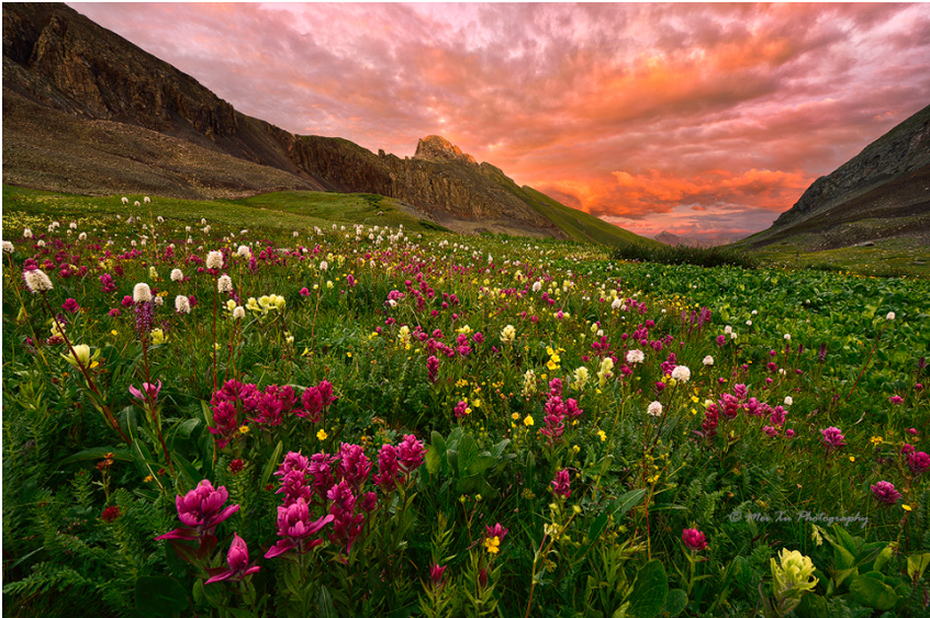 Sharing love and beauty brings joy and smiles to all it touches and inspires them to do the same, it is the greatest wealth of all.

#SoSvetSays
#Nature #NaturePhotography by Mei Xu
