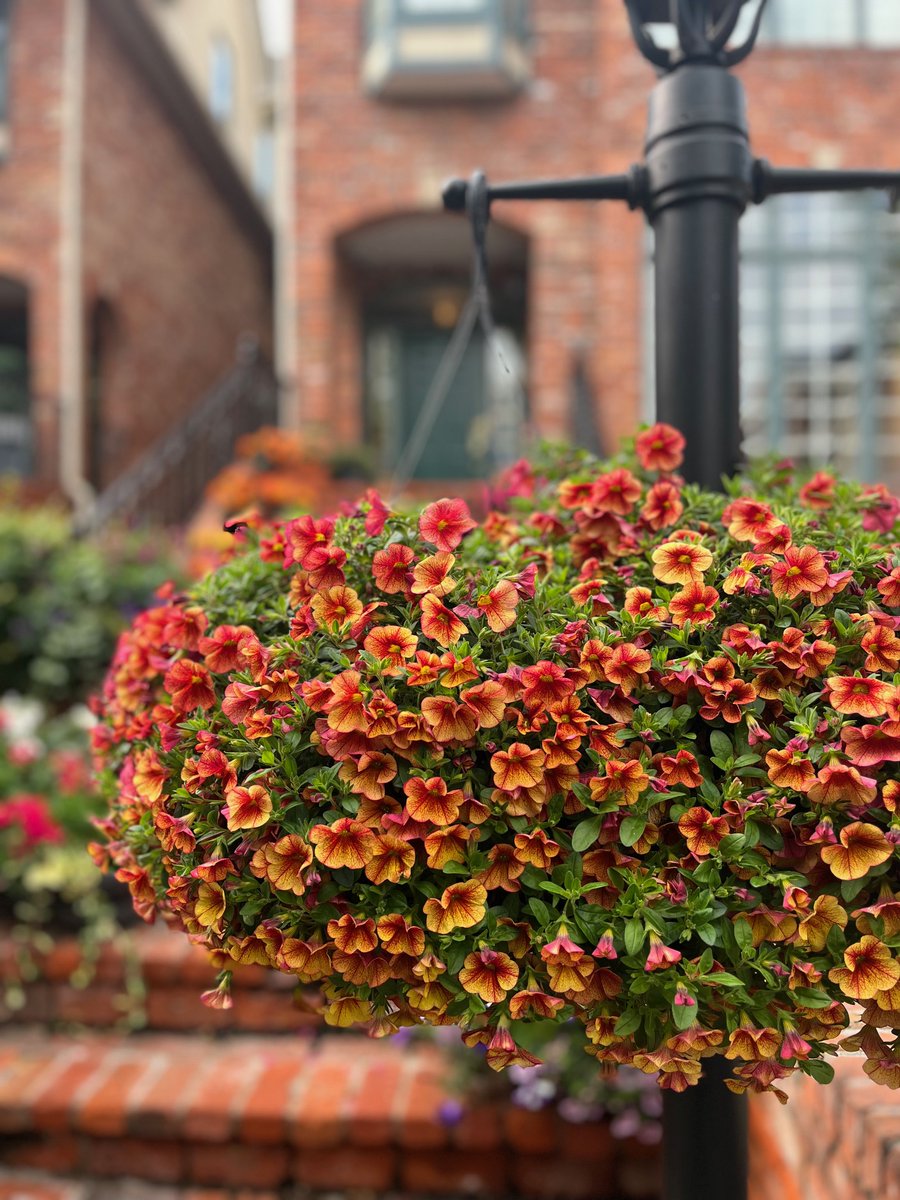 St Stephens Anglican tweet media