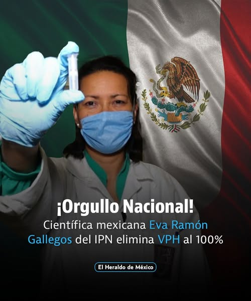 Pamphlets.Blog (@pamphletsy) on Twitter photo 