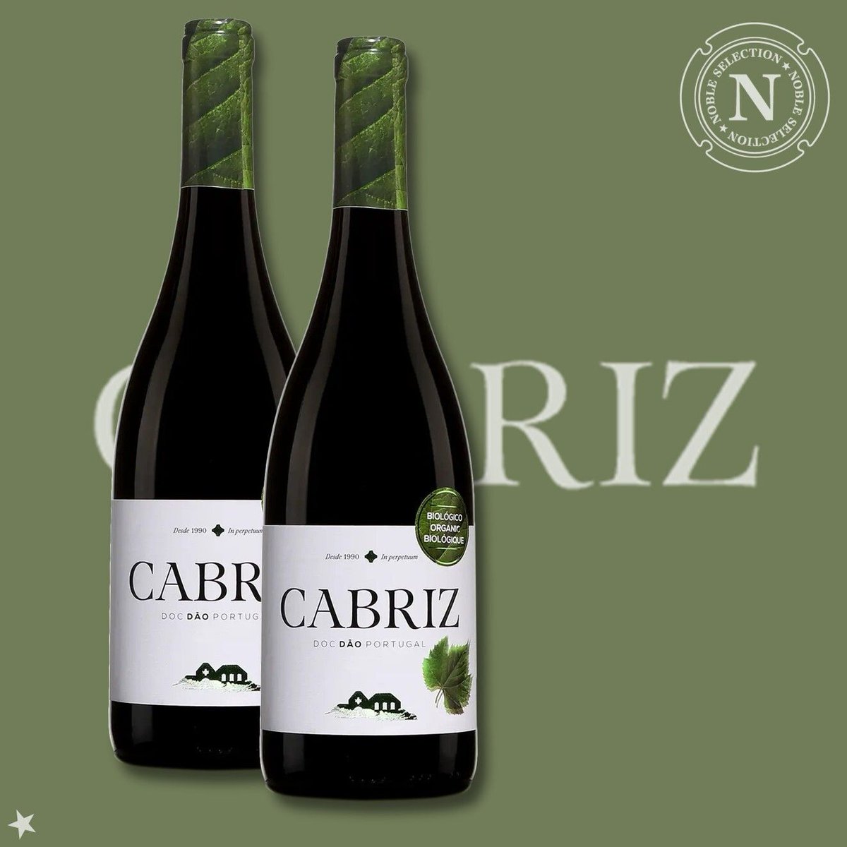 Noble Sélection tweet media